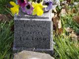 image of grave number 914485